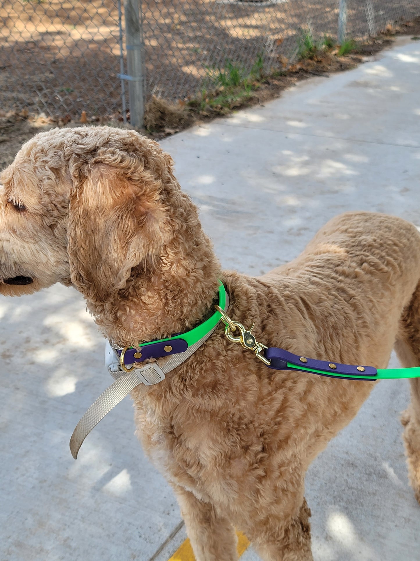 3/4" Two Toned Adjustable Quick Release BioThane® Dog Collar