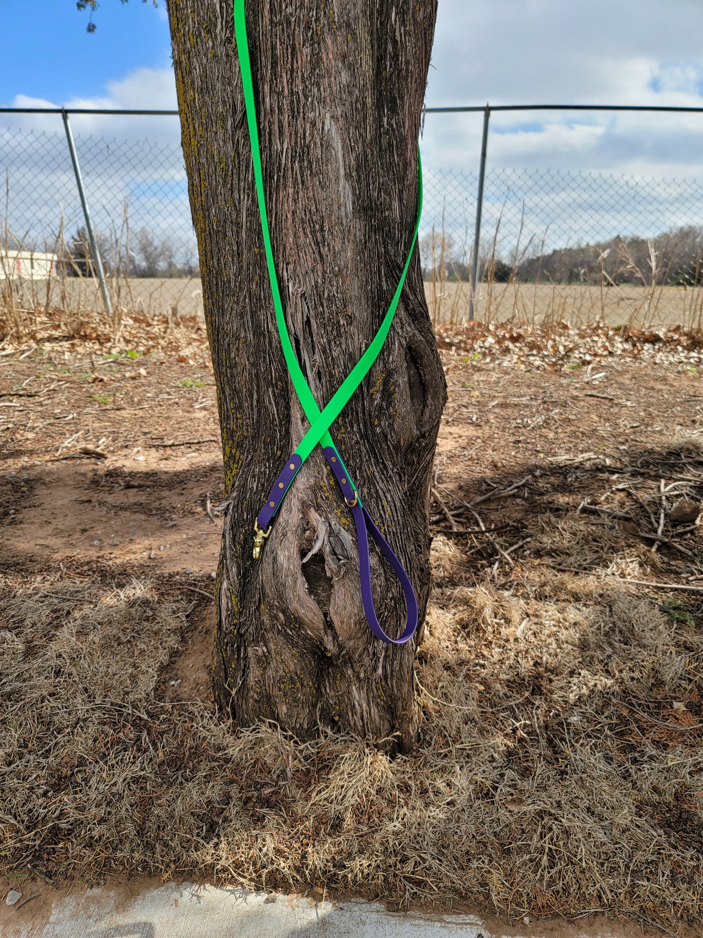 3/4" Two Tone BioThane® Leash