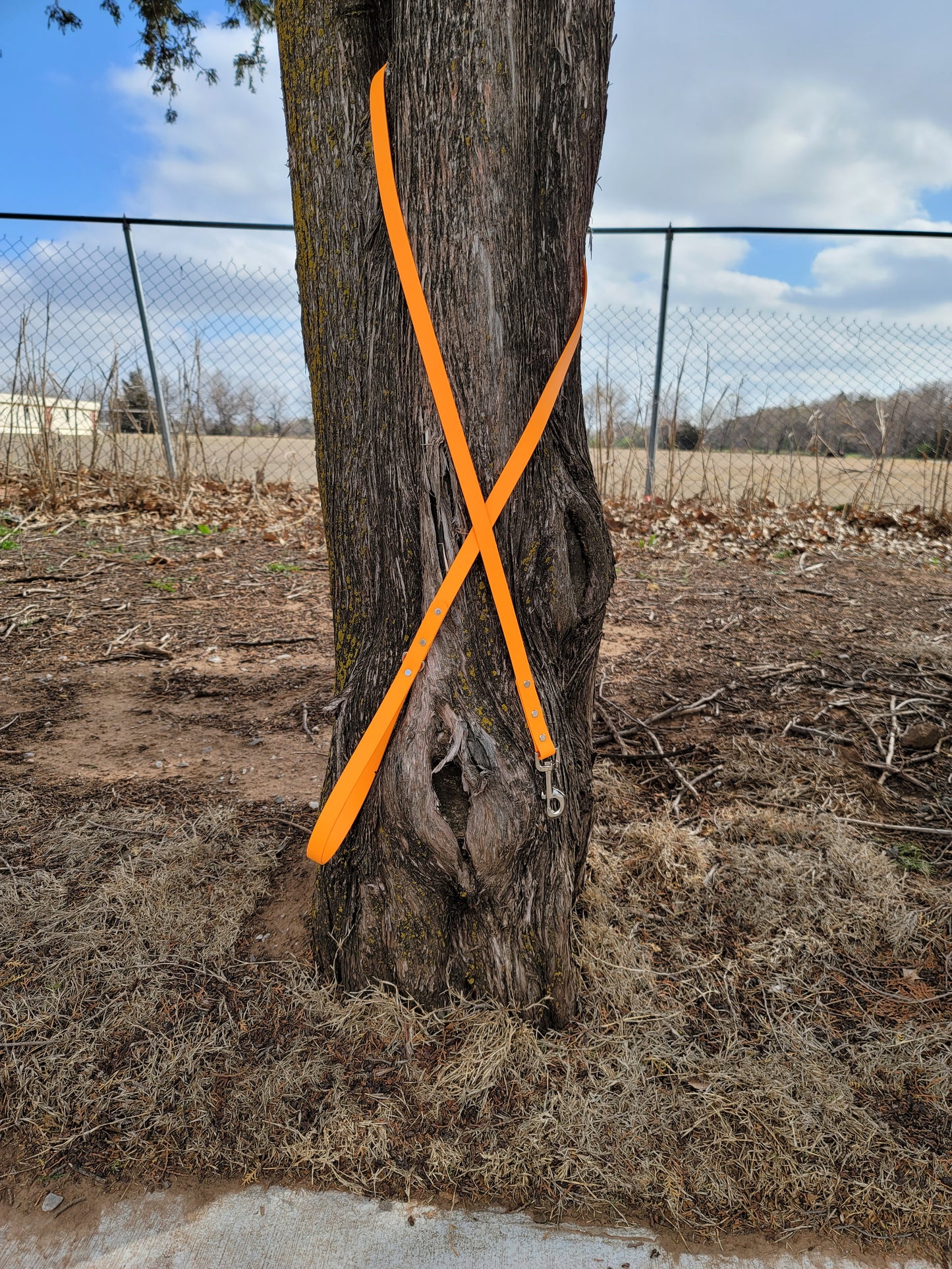 3/4" BioThane® Leash