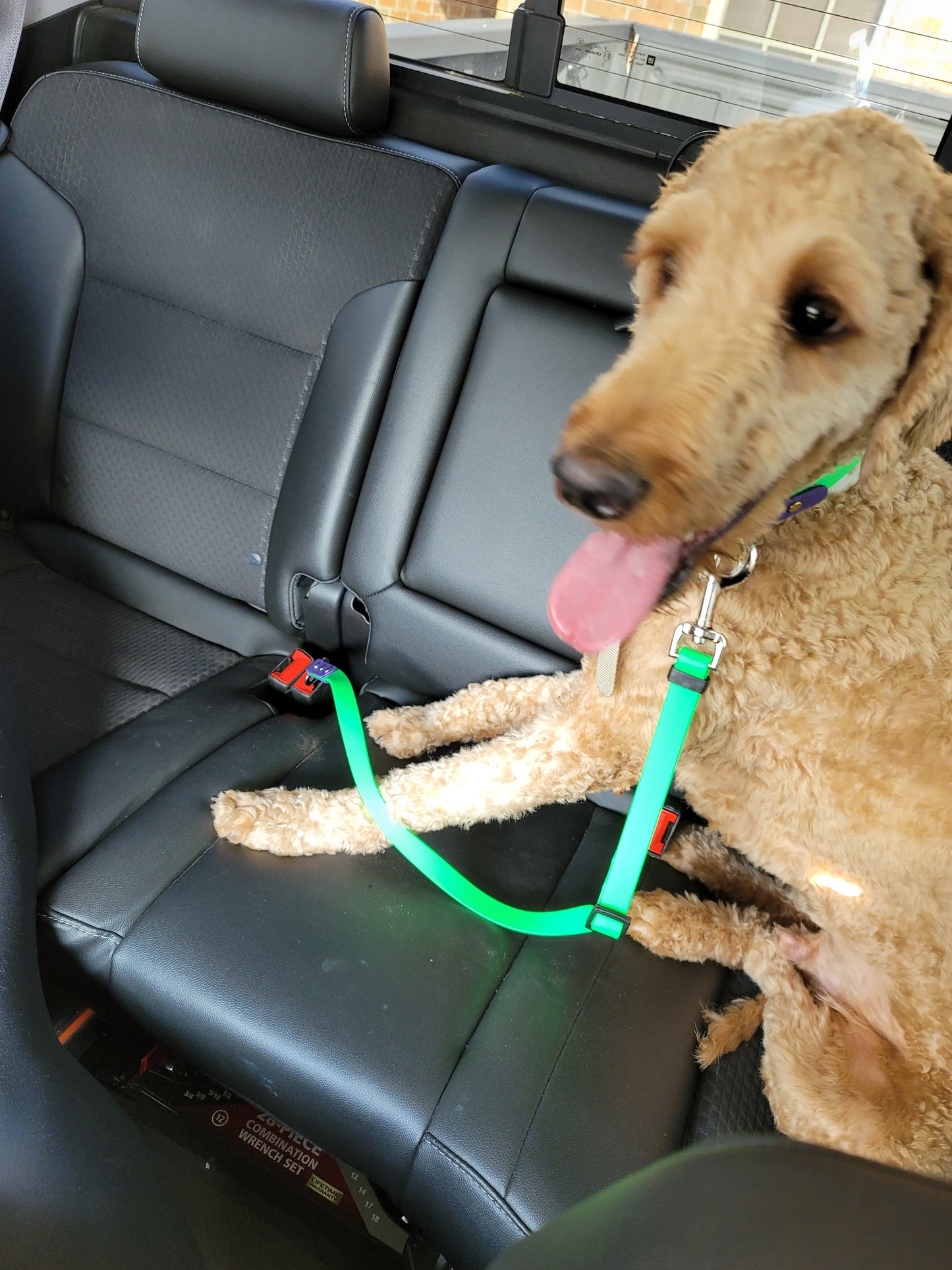 3/4" Two Tone Adjustable BioThane® Seatbelt Tether