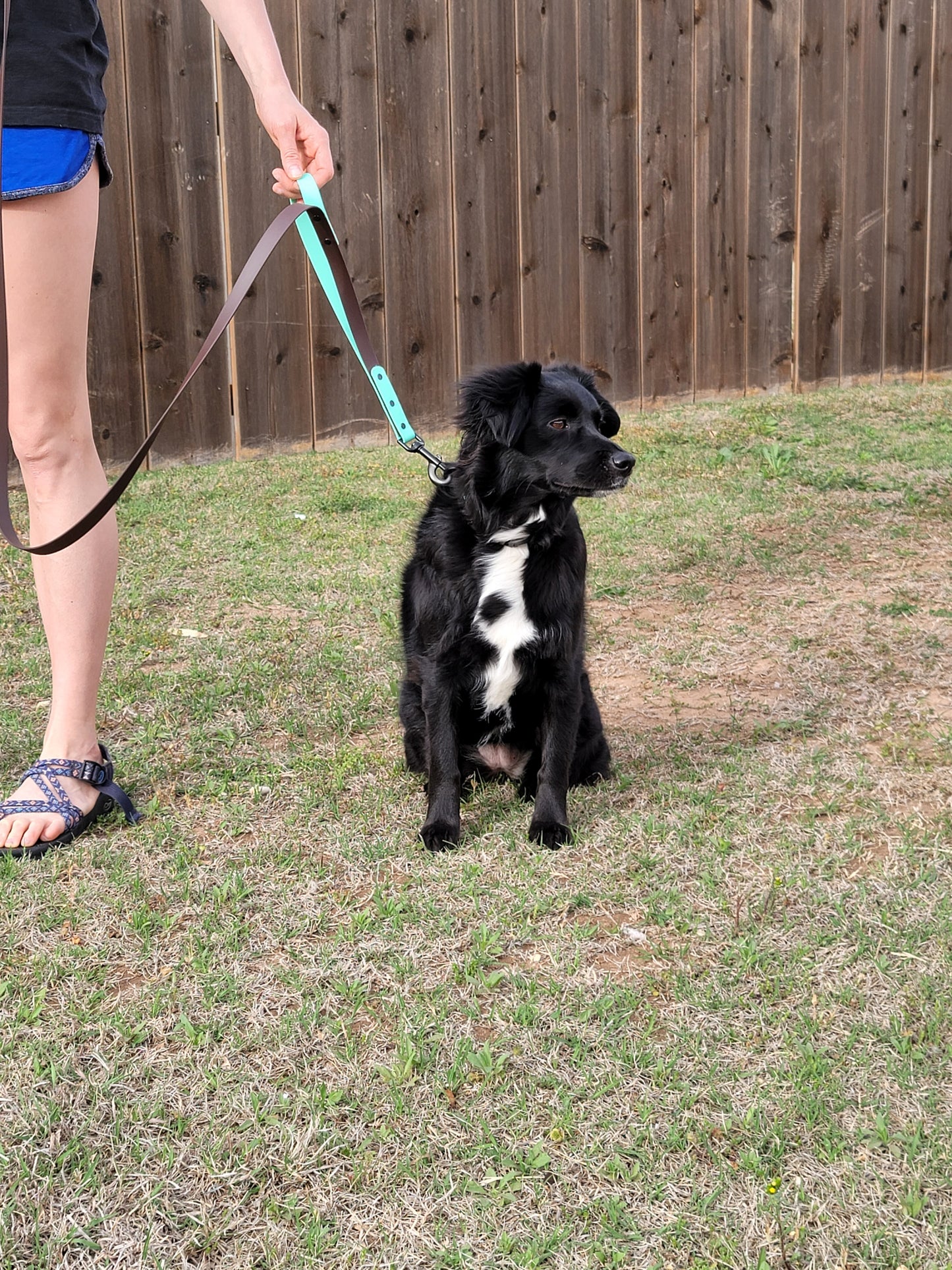 3/4" Two Tone BioThane® Dog Leash With Built in Traffic Handle