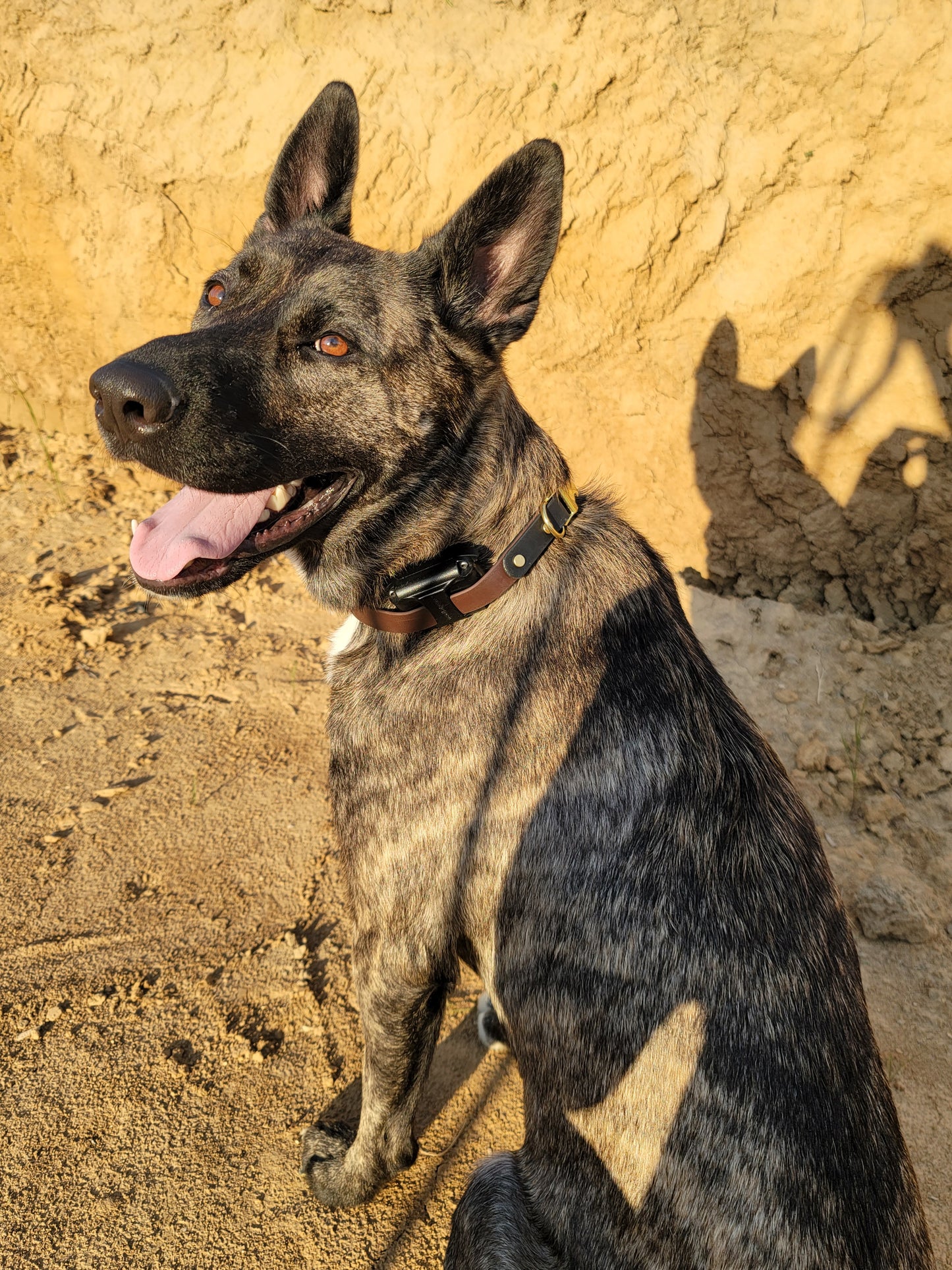 3/4" Two Tone Quick Release BioThane® Shock Collar Band