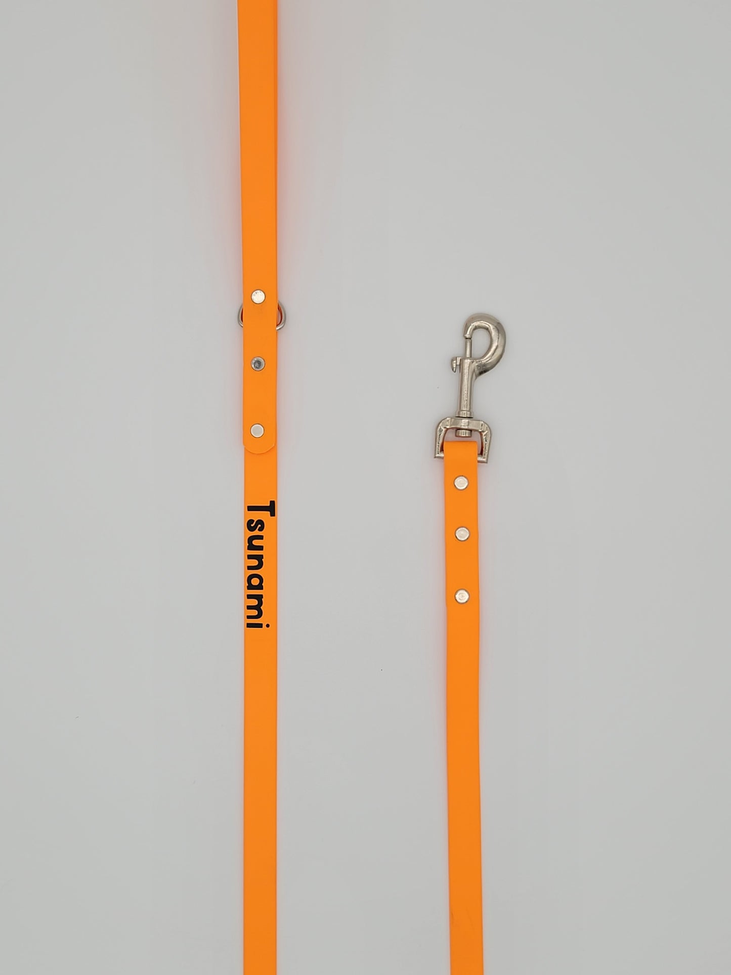 3/4" BioThane® Leash