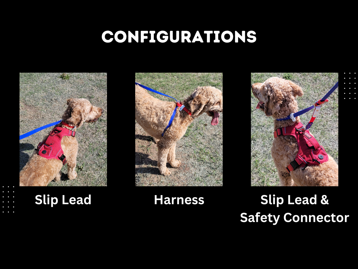 3/4" Tricolor Hands Free Convertible BioThane® Slip Lead