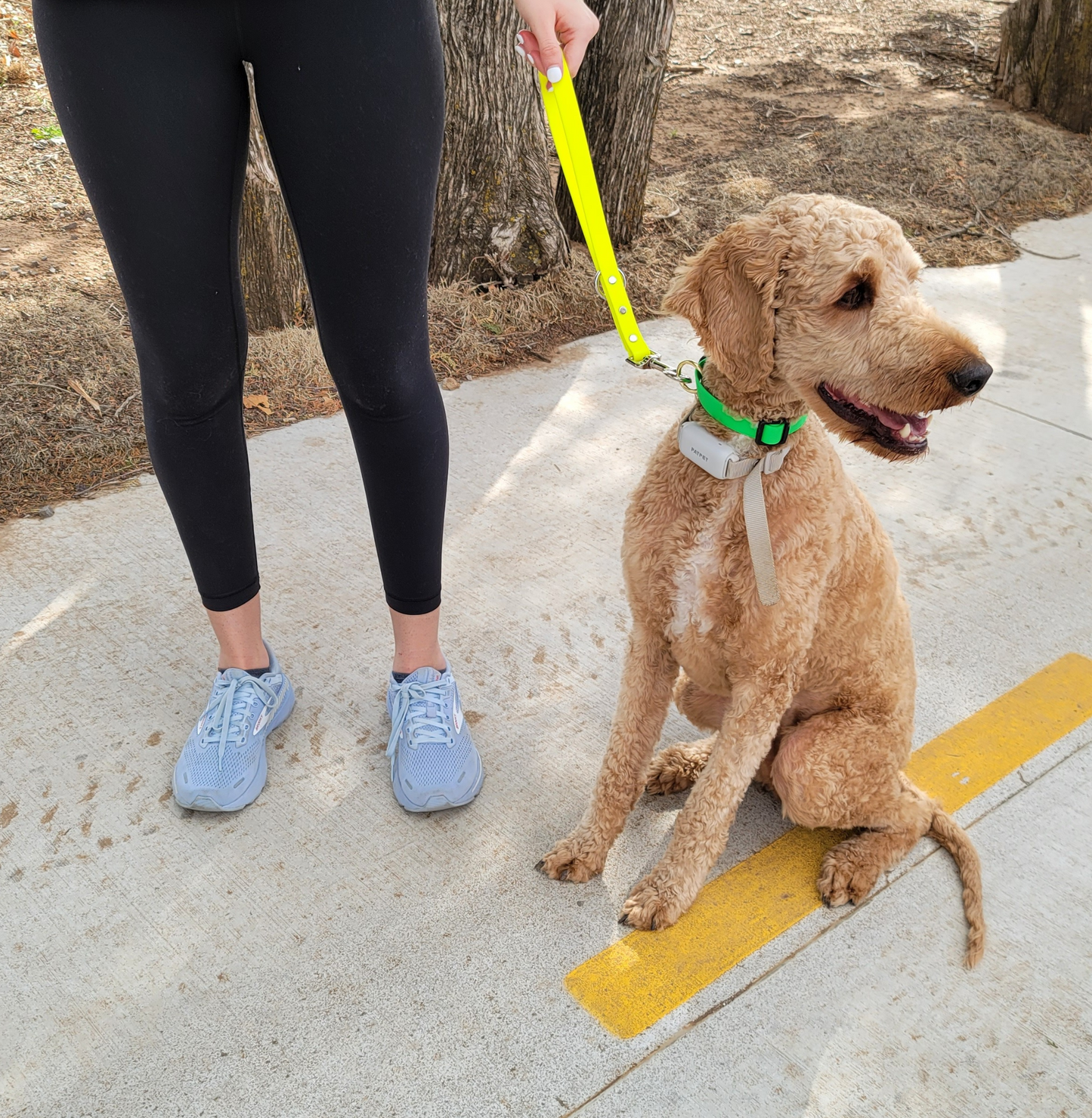 3/4" Loop Style BioThane® Traffic Leash