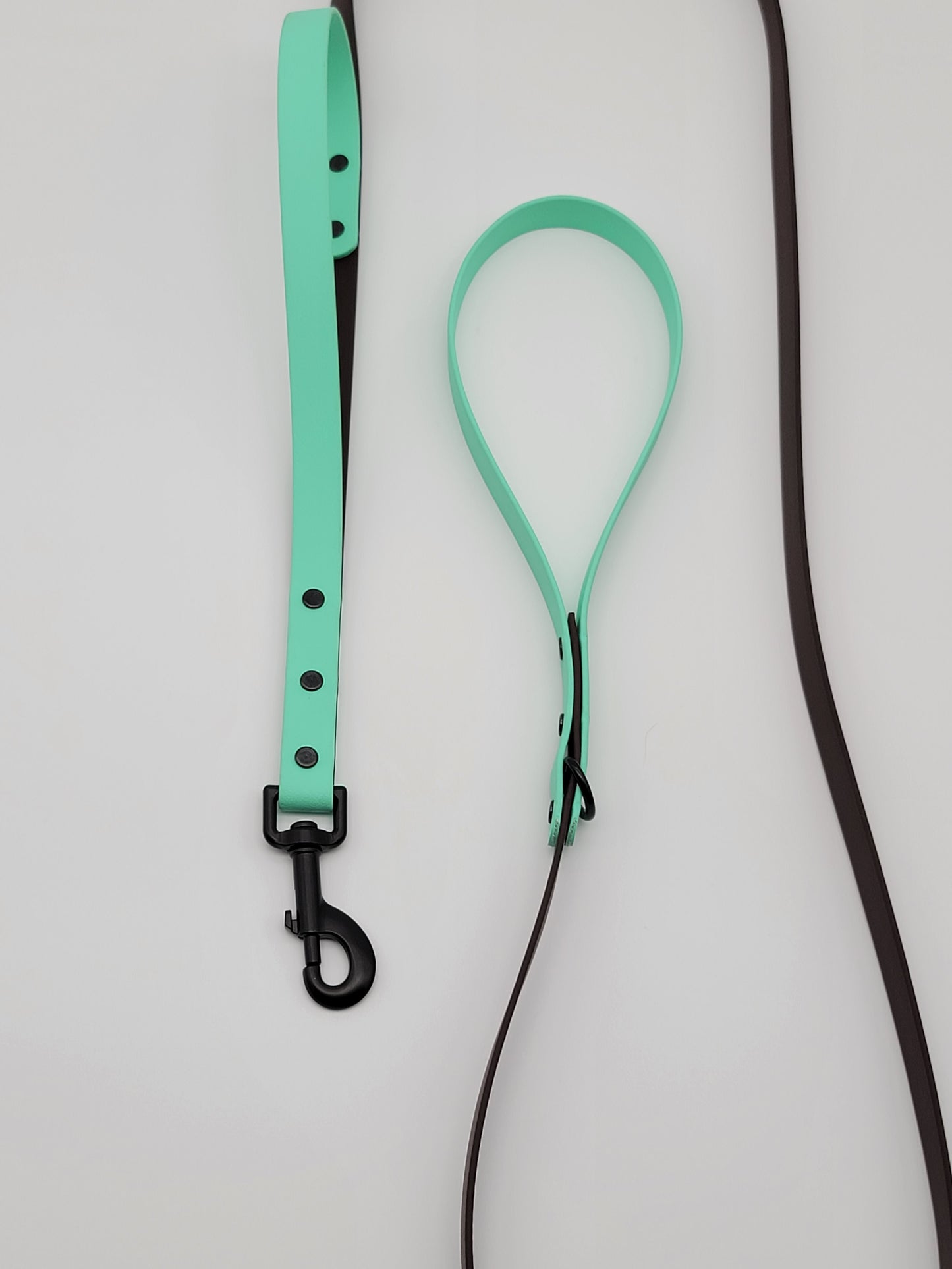 3/4" Two Tone BioThane® Dog Leash With Built in Traffic Handle